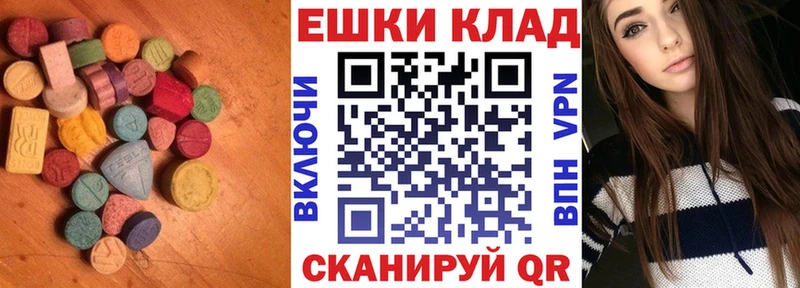 что такое   Волгоград  ЭКСТАЗИ Philipp Plein 