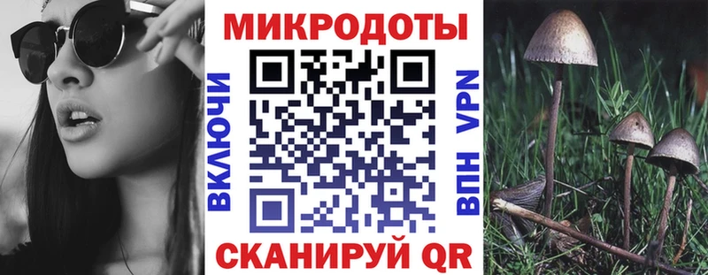 Галлюциногенные грибы Psilocybe  наркошоп  KRAKEN ссылки  Волгоград 